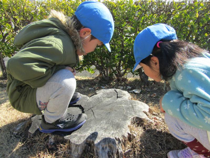 近くの公園で何かを発見