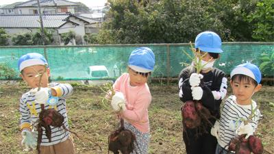 11月・・・いもほり