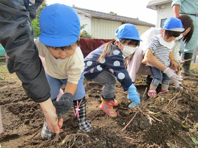 「誰か一緒に引っ張って～」