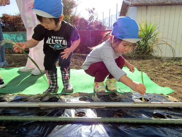 土を触るのが苦手だった子も、今ではすっかり平気になったね。